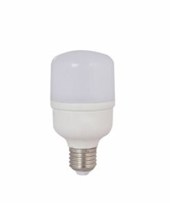 Bóng LED Bulb TR60N2/10W E27 SS Rạng Đông
