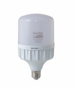 Bóng đèn led Bulb TR80N2 18W E27 SS Rạng Đông